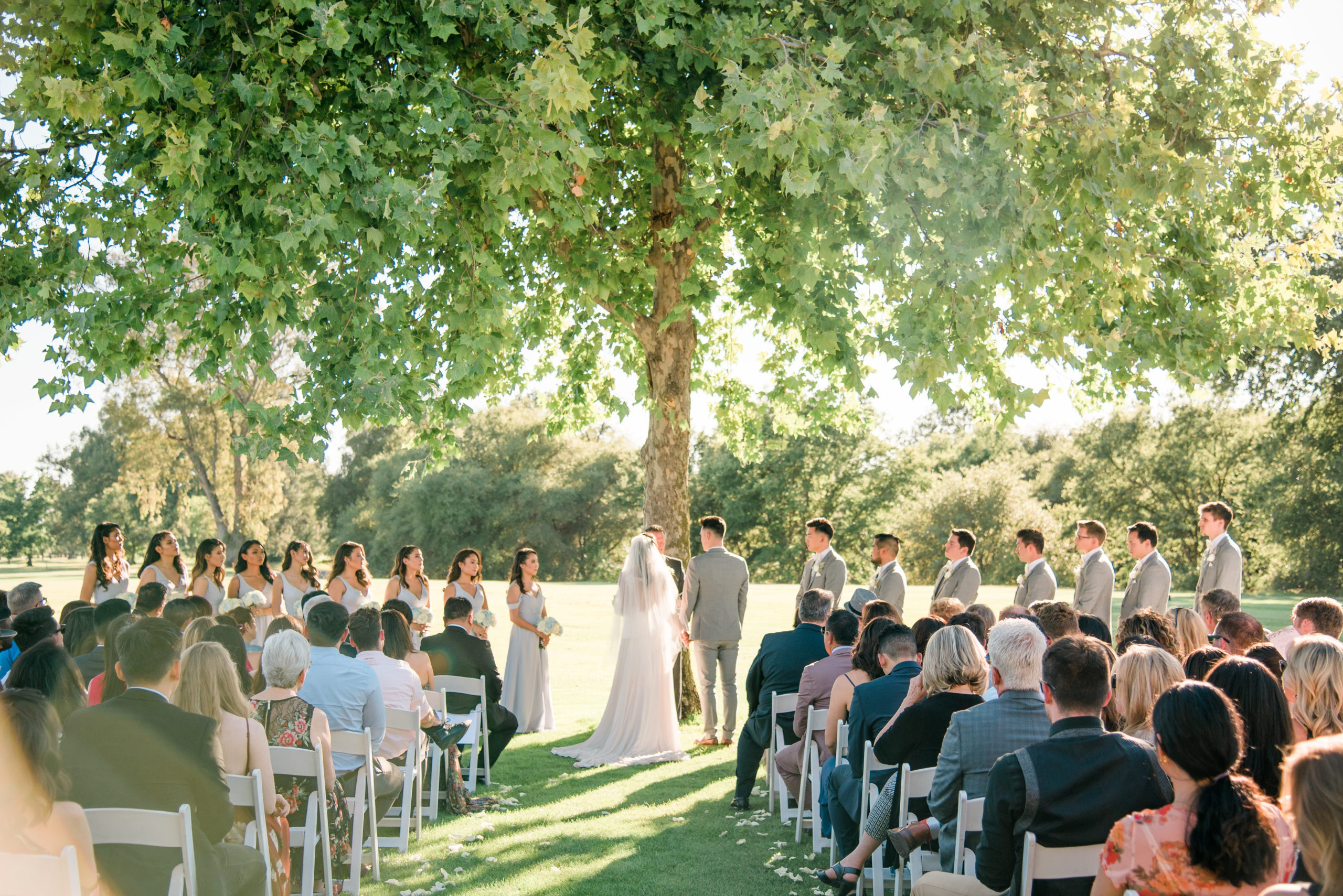 Wedding Spotlight: Alissa and Cameron - The Pavilion at Haggin Oaks